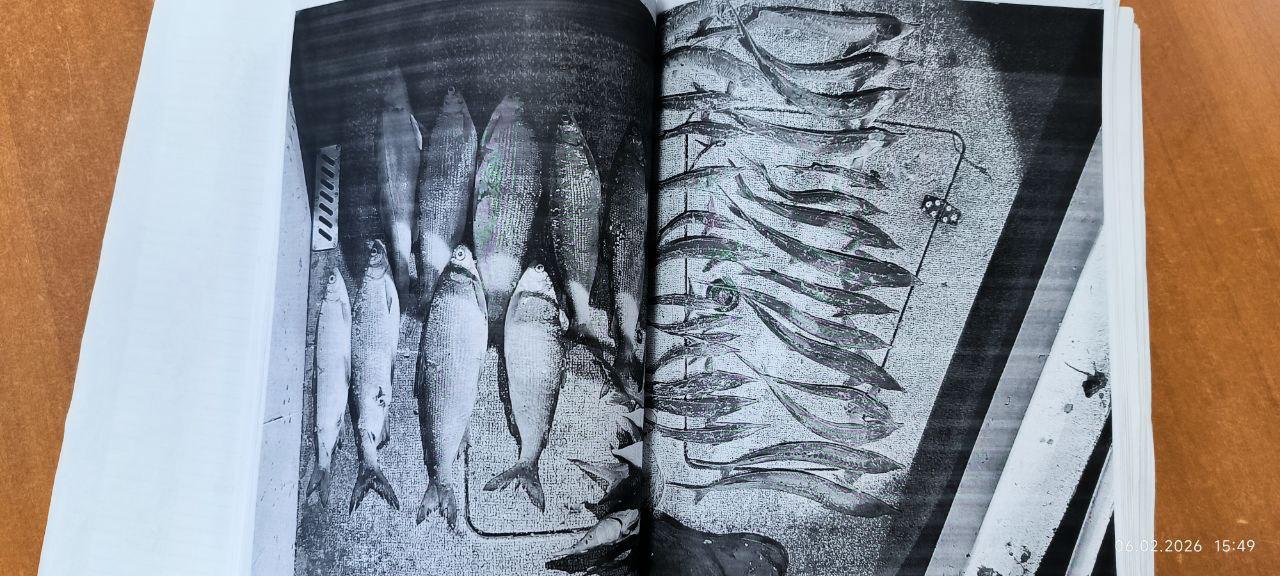 Дед наловил рыбки на 19 миллионов рублей Пожилой вартовчанин отправился на рыбалку на моторной лодке и сеть из лески принесла ему чудесный улов 8 особей пеляди одного судака 30 стерлядок и 38 сибирских осетров Только вот попался старик со своей рыбкой и сам Его задержали и возбудили уголовное дело за незаконную добычу водных биологических ресурсов в том числе особо ценных Суд рассмотрел дело и вынес относительно мягкий приговор учитывая что рыбак во всем признался и раскаялся а также пожилой возраст и благотворительность которой он занимался Наказание составило 250 часов обязательных работ И взыскание ущерба а это 18 439 849 рублей А еще у него забрали лодку мотор и сеть nv86 me vk com nv86ru ok ru nv86 ru max ru nv86ru