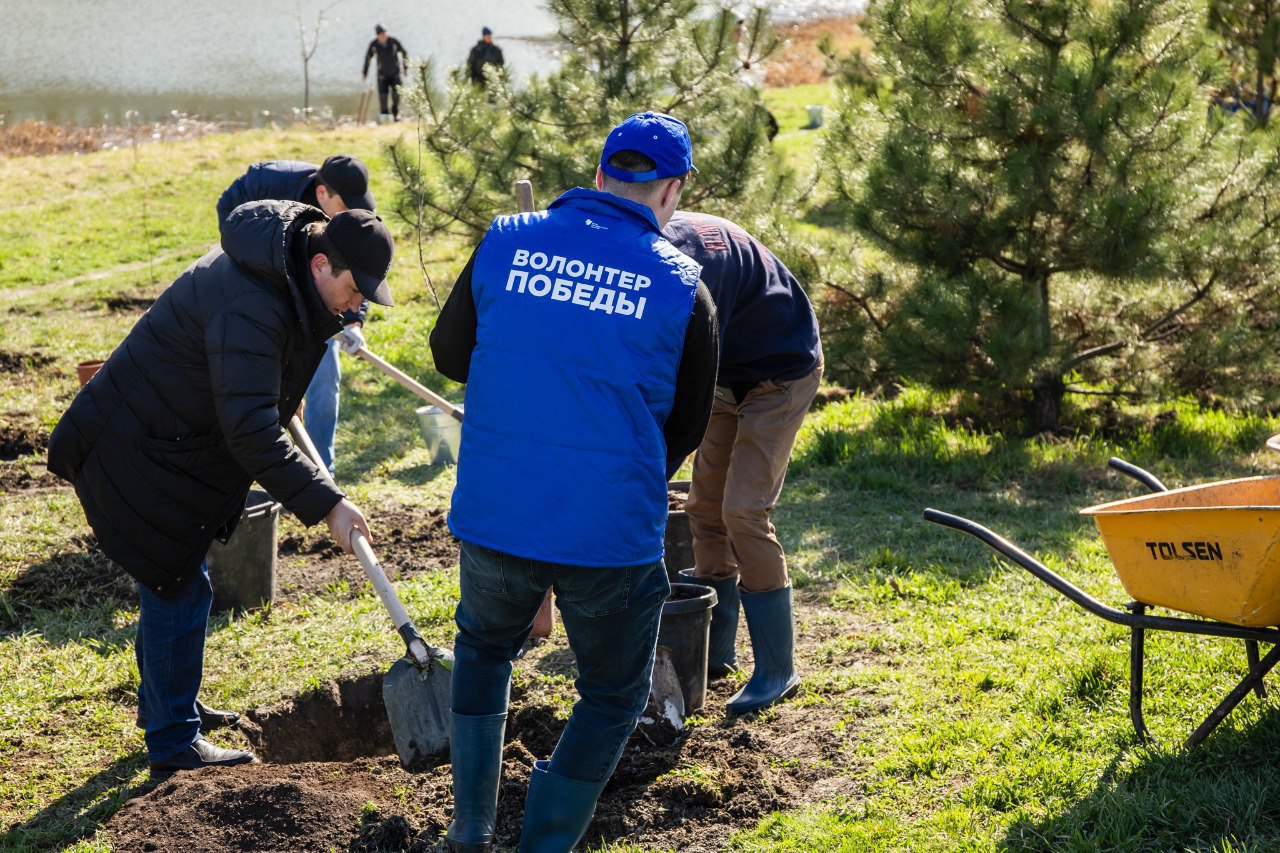 Молдавские социалисты присоединились к международной акции "Сад памяти", начатой движением "Волонтеры победы".  В Молдове этот проект реализуется с 2022 года.