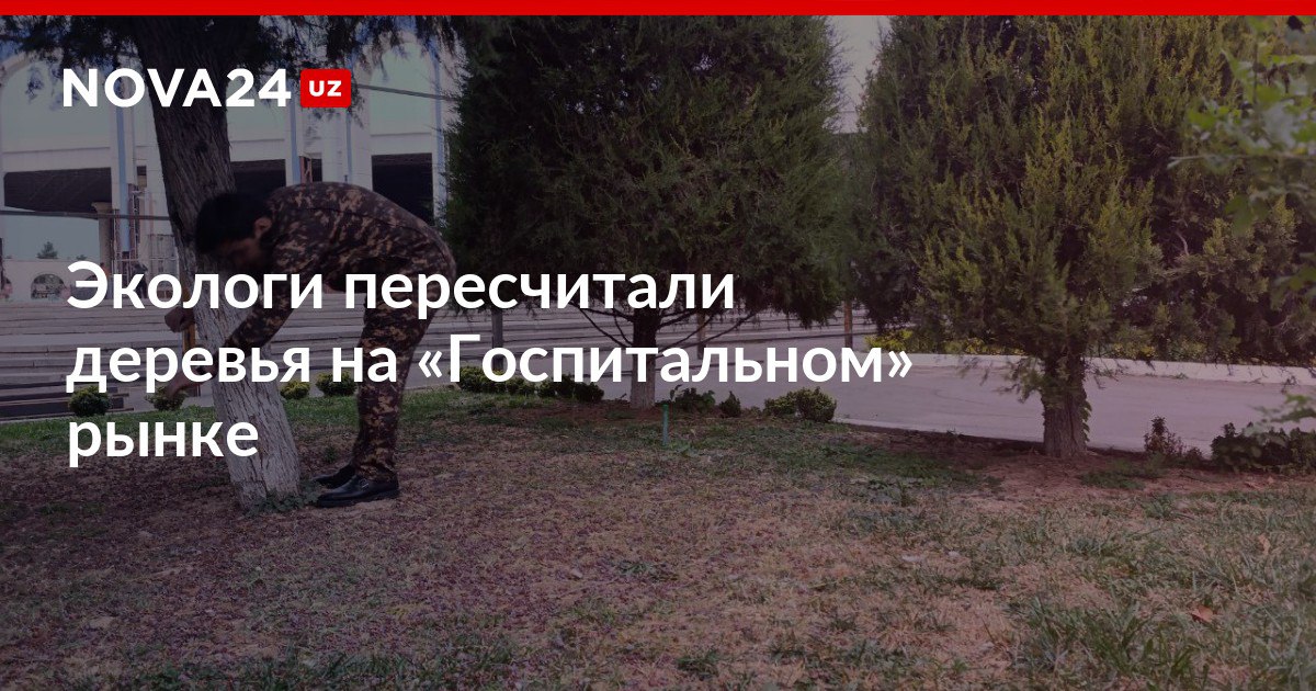 Экологи пересчитали деревья на Госпитальном рынке Ранее базар обнесли забором жители испугались за растения власти пообещали обойтись без вырубок nova24 uz 308847 NOVA24 LIVE