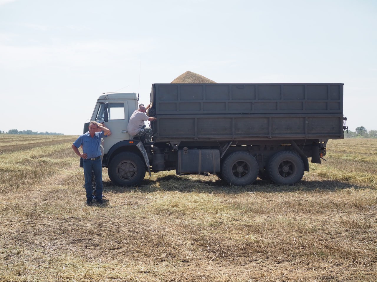 В Ростовской области аграрии не могут получить льготные кредиты после ЧС Аграрии понёсшие серьёзные потери в прошлом сельскохозяйственном сезоне не могут получить льготные кредиты из за жёстких федеральных требований Как сообщил губернатор Юрий Слюсарь правительство региона попытается смягчить условия получения поддержки На 20 января аграриям продлили 34 льготных кредита из 89 По словам Слюсаря для продления кредитов аграриям нужно фактически оказаться на грани банкротства Чтобы получить помощь от государства от них требуют акты списания культур из за ЧС федерального уровня Проблема в том что эти документы есть не у всех пострадавших Посевы пострадали из за возвратных майских заморозков и летней засухи Ситуация усугубилась до того что власти были вынуждены ввести два режима ЧС в мае и июне 2025 года В октябре объявили ЧС федерального уровня новости ростов ростовскаяобласть Подпишись на donnewsru