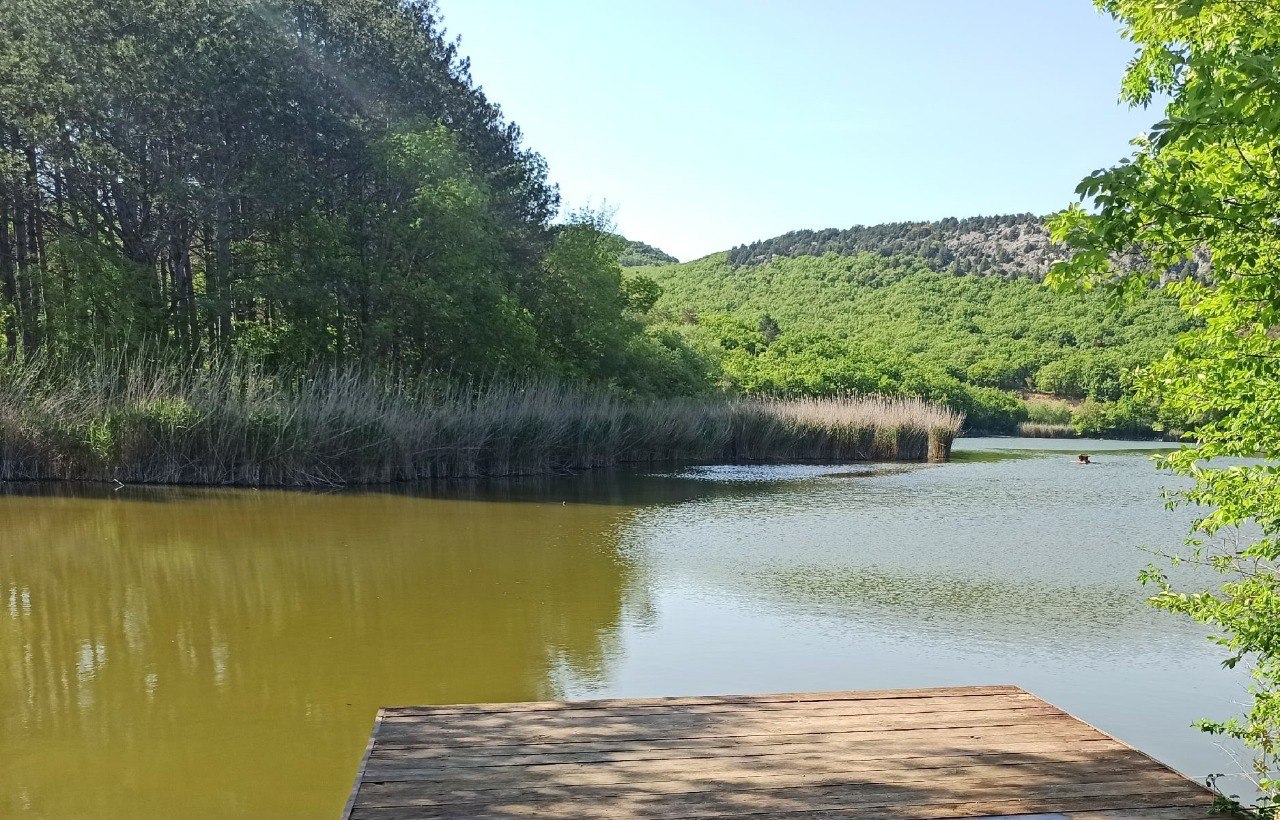 Севастополь принимает участие в проекте «Вода России»  В рамках национального проекта «Экологическое благополучие» в России стартовал федеральный проект «Вода России».  Проект охватит практически все регионы страны и предполагает очистку водных участков рек общей протяженностью свыше одной тысячи километров.  Севастополь также стал участником этой инициативы. В соответствии с планами, в 2026-2027 годах будут очищены от мусора, ила и тростника четыре пруда: три в Балаклаве и один на Тороповой даче. Для очистки водоемов будет задействована техника, включая экскаваторы.   Читайте Севкор