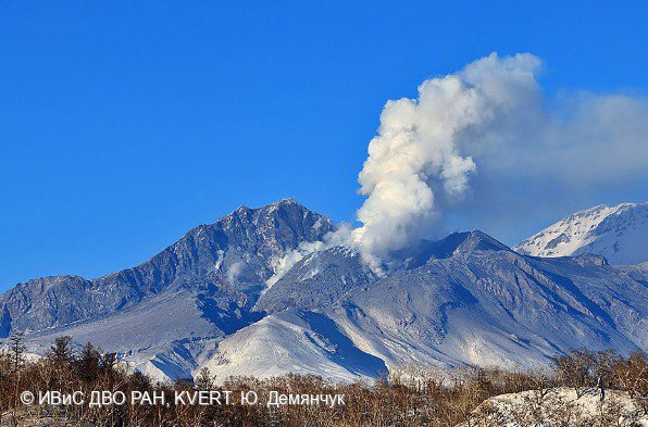 Вулкан Шивелуч на Камчатке выбросил пепел на высоту до 8000 метров. Шлейф распространяется в северо-восточном направлении от вулкана в сторону залива Озерного. Сейчас в населённых пунктах выпадения пепла нет. Шивелучу присвоен "оранжевый" код авиационной опасности, сообщили в МЧС по региону. : ИВиС ДВО РАН Отправить новость