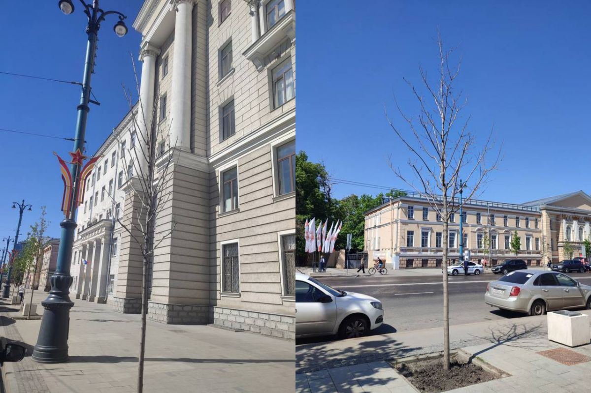 Воронежский общественник сделал неутешительный прогноз по состоянию деревьев на проспекте Революции На проспекте Революции уже засохла часть высаженных деревьев. В парке десятки клёнов стоят без листьев. Уже не первый год не удаётся вырастить новые деревья на месте старых лип, которые были вырублены. ↗ Прислать новость Подписаться