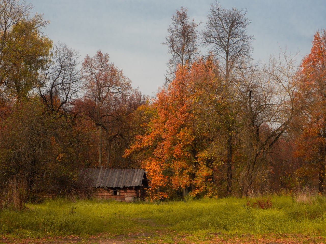 Малые села большая связь МТС подключила к сети известный на всю страну поселок Тугач и еще девять населенных пунктов Ирбейско Саянского округа Доступ к цифровым сервисам получили более 400 сельчан Тугач известен на весь мир благодаря местному музею Тугачинского исправительно трудового лагеря одного из пунктов Краслага Этот музей создали потомки репрессированных реконструировали быт заключенных восстановили бараки и хозяйственные здания Оператор сообщает о завершении очередного этапа развития цифровой инфраструктуры в Ирбейско Саянском округе края Ранее скоростная сеть появилась в Александровке Тумакове Мельничном Благовещенке Талом Кулижникове Верхней Уре Петропавловке 1 и Каменке krasnoyarsk