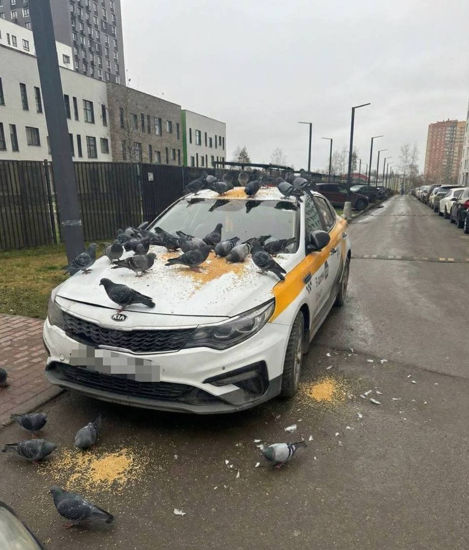 Таксистам хотят запретить парковаться во дворах многоквартирных домов Частая жалоба жителей посёлков и ЖК таксисты заняли все парковочные места была услышана Депутаты от партии Новые люди отправили в Минтранс обращение Предлагаем рассмотреть возможность введения на федеральном уровне запрета на стоянку длительную парковку автомобилей внесённых в реестр легковых такси в жилых зонах и на дворовых территориях Инициаторы обращения подчеркивают что жители многоквартирных домов часто сталкиваются с проблемой когда придомовые территории фактически превращаются в бесплатные стоянки для автомобилей такси Вместе с тем автоэксперты утверждают что эта инициатива может быть технически нереализуема и вызовет социальное напряжение т к большинство современных таксистов это люди которые арендуют машину такси и оставляют её на ночь во дворе в котором живут Подписаться на канал Telegram MAX