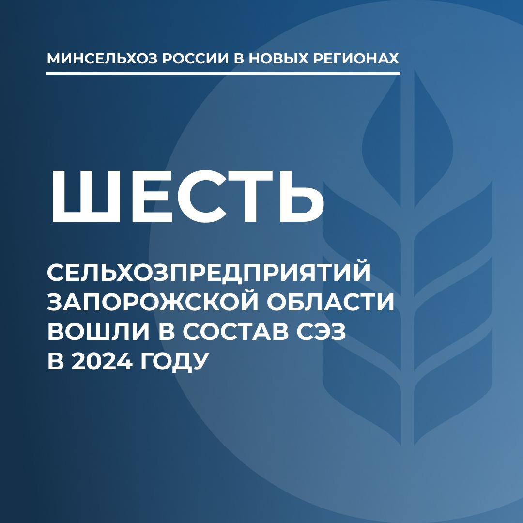 В 2024 году в состав СЭЗ вошли еще шесть запорожских сельхозпредприятий  Преимуществами свободной экономической зоны воспользовались восемь компаний Запорожской области, работающих в аграрном секторе. Шесть из них вошли в состав СЭЗ в 2024 году, рассказали в Министерстве сельского хозяйства России.  «Четыре предприятия занимаются переработкой сельскохозяйственной продукции, другие — производством продукции растениеводства»,  – уточнили в ведомстве.  Среди преимуществ свободной экономической зоны — программа льготного кредитования «под ключ», что особенно значимо для Запорожской области, где у хозяйствующих субъектов отсутствует кредитная история и есть нюансы с кредитным обеспечением.  Для резидентов СЭЗ действует льготный порядок предоставления земли в аренду без проведения торгов, применяется нулевая ставка налога на имущество и землю.   Также применяется льгота по налогу на прибыль и, что немаловажно, право на ускоренную амортизацию основных средств с коэффициентом 2, пониженные страховые взносы по сотрудникам в ФНС – с 30% до 7,6% с сумм в рамках предельной базы по взносам и 0% вместо стандартных 15,1% — с сумм свыше такой базы.