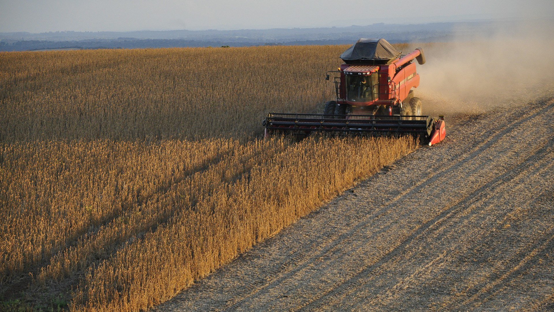 Русагро #AGRO  «Русагро» консолидировала 100% «ГК Агро-Белогорье»  Группа «Русагро» закрыла сделку по консолидации 100% «ГК Агро-Белогорье». Сделка позволит «Русагро» занять второе место в производстве свинины в России, реализовать масштабные синергетические эффекты в сельскохозяйственном и мясном бизнес-направлениях группы.  Источник: interfax.ru