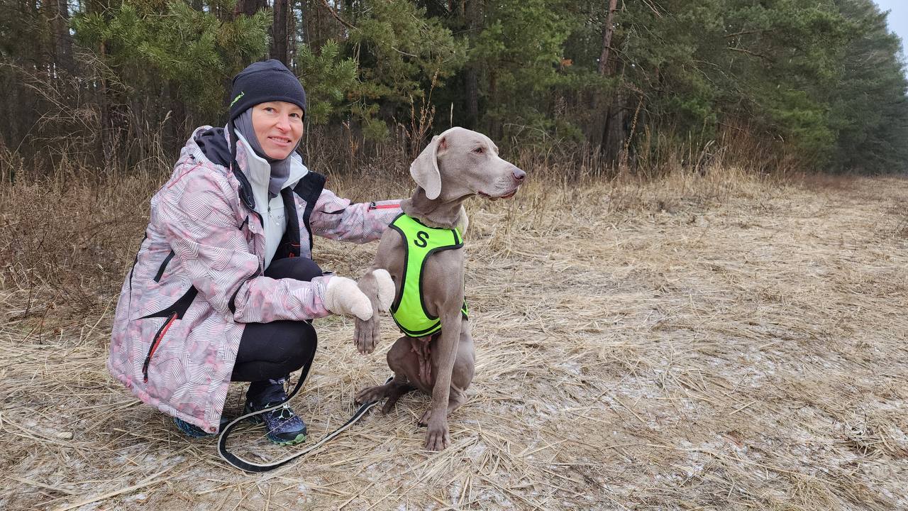 В Протвино впервые провели Чемпионат Московской области по кинологическому биатлону  В Протвино на трассе у стрелкового тира «Спортивной школы Протвино» состоялись Чемпионат и Первенство Московской области по кинологическому спорту в дисциплине биатлон. В соревнованиях приняли участие 17 спортсменов, включая 9 юниоров.  «Зима нас подвела, но правила позволяют проводить дисциплину, бегая ногами. Поэтому соревнования идут и летом, и зимой», — пояснила мастер спорта, тренер сборной Московской области по кинологическому спорту и по гонке-буксировке Юлия Колесникова.  Спортсмены и их мохнатые компаньоны из Дмитрова, Протвино, Серпухова и Москвы преодолели дистанции в 4000 м во взрослом зачёте и 3000 м среди юниоров. На огневых рубежах собаки должны были оставаться в статичном положении, пока хозяева стреляли лёжа и стоя.  «Трасса в Протвино отличная. В прошлом году мы здесь провели гонку-буксировку, и теперь получили добро на чемпионат области», — отметила Колесникова.  Организационную поддержку оказал «Губернский колледж»: студенты выступили волонтёрами и участниками.  Среди них — второкурсница Алена Зевакина из Балабаново с немецкой овчаркой Лексой.  «Люблю собак и спорт, поэтому совмещаю кинологию с соревнованиями», — поделилась девушка.  Текст, фото: Анна Мороз  #новостиПротвино