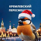 Аватар Телеграм канала: Кремлёвский пересмешник