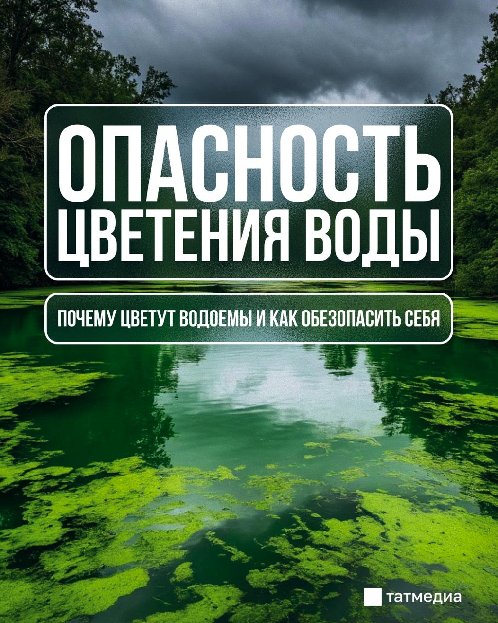 Специалисты предупредили об опасности купания в цветущих водоемах  Вода в Волге и на других водоемах летом цветет из-за бактерий и водорослей, которые активно размножаются благодаря теплу и загрязнению.   Чем опасно цветение воды и можно ли с ним бороться - в карточках.       Все каналы Татмедиа