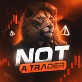 Аватар Телеграм канала: Not a Trader