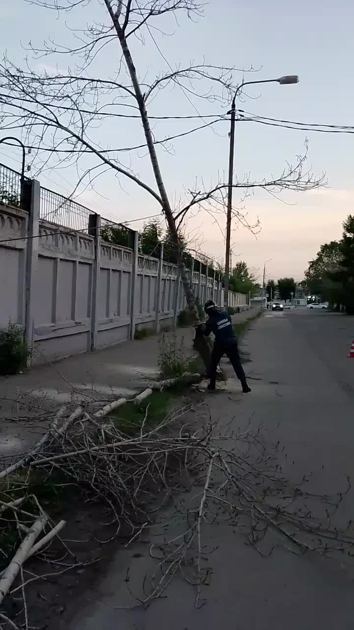 В Ульяновске восстановлено движение на улице Карла Маркса после ликвидации последствий непогоды