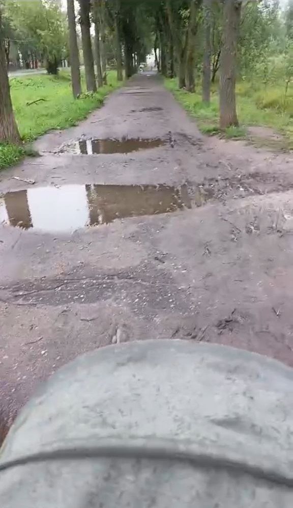Многострадальной аллее в Авдотьино нужно благоустройство! Аллея является излюбленным местом авдотьинских спортсменов, по ней гуляет огромное количество людей, включая мамочек с колясками, пенсионеров. Это не просто липы, высаженные вдоль дороги. Это ещё и единственная пешеходная зона, соединяющая сразу несколько частей района. Сегодня пройти по ней всё равно что пересечь болото. Асфальт исчез. Остались только ямы, грязь и лужи по колено. Люди часто идут по проезжей части, рискуя попасть под машину. Это прямая угроза жизни! Проблемой Липовой аллеи ЛДПР занимается не первый месяц. Ещё весной координатор Авдотьинского отделения ЛДПР Дмитрий Пругер собрал подписи жителей и направил коллективное обращение руководителю фракции ЛДПР в Ивановской областной Думе Дмитрию Шелякину. Депутат оперативно направил запрос в городскую администрацию. Но в ответ поступил размытый ответ о том, что проект благоустройства улицы Революционной и аллеи вроде готов, но работы начнутся не раньше 2026–2027 годов, и то, если будет финансирование... При этом кто только ранее не обещал жителям благоустроить многострадальную аллею. Но дело годами не движется с места. Жители продолжают обращать внимание властей и депутатов на насущную проблему и регулярно говорят об этом на встречах координатору Авдотьинского отделения партии. Сейчас Дмитрий Шелякин — лидер фракции ЛДПР в Ивановской областной Думе, направил запрос уже в прокуратуру — пусть надзорный орган рассудит граждан и ответственных чиновников.