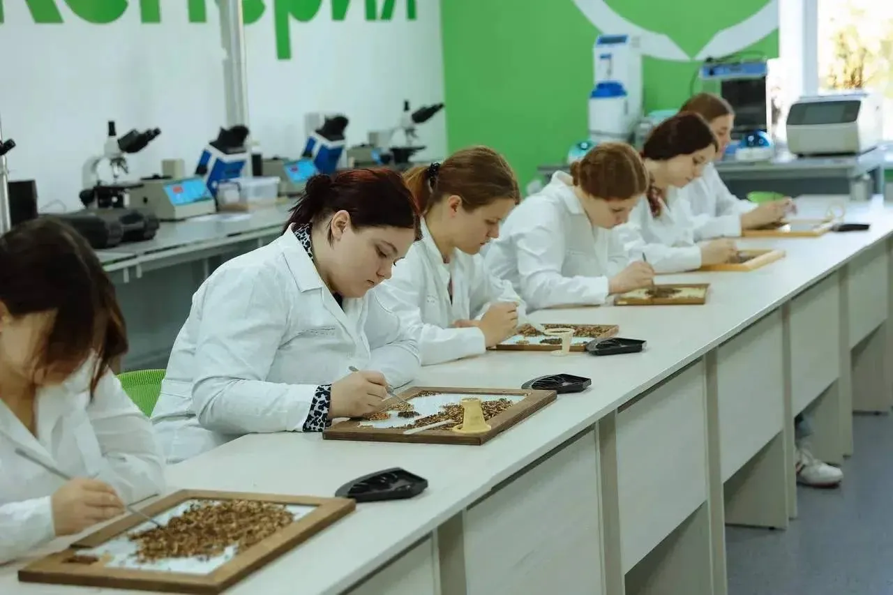 С 1 сентября в школах Тамбовки и Новоалександровки начнут готовить будущих аграриев Агротехнологические профильные классы там как и в других муниципалитетах создают по президентскому нацпроекту Технологическое обеспечение продовольственной безопасности Агротехкласс разделят по направлениям технологическое с углубленным изучением математики физики и информатики и естественно научное с упором на биологию и химию И оснастят современным оборудованием микроскопами интерактивными панелями гидропонной установкой мобильной лабораторией по химии и другими приборами В агротехклассах будут учиться десятиклассники и семиклассники Всего у нас в школе 976 учеников Это не только дети из Тамбовки но и близлежащих сёл Косицыно и Придорожное С родителями учеников мы уже проводили собрания и обсуждали необходимость создания агротехклассов Мамы и папы понимают потребность в их организации и открывающиеся перспективы перед их детьми объясняет Татьяна Кручинкина Агротехклассы появятся при поддержке регионального минсельхоза администрации и сельхозтоваропроизводителей Тамбовского округа Это значимое событие потому что на территории нашего округа развито сельское хозяйство работает много агропредприятий которые ждут молодых специалистов и готовы помогать в подготовке новых кадров прокомментировал глава Тамбовского округа Сергей Гречихин Всего в этом году по президентскому нацпроекту в амурских школах откроют 12 агротехнологических классов в Тамбовском Михайловском Серышевском Белогорском муниципальных округах и городе Белогорске В ближайшие три года 175 агротехклассов Будьте в курсе главных новостей Амурской области