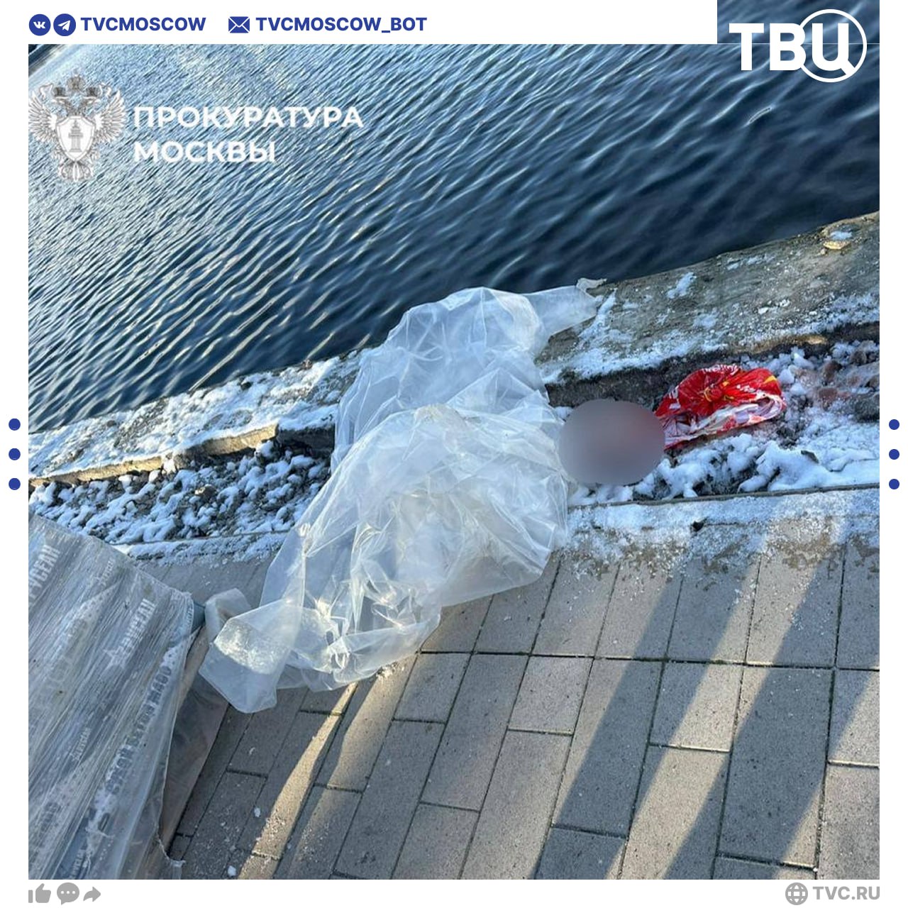 Пакет с останками ребенка нашли в Гольяновском пруду на востоке Москвы Предварительно школьнику было от 7 до 10 лет Возбуждено уголовное дело На месте работают правоохранительные органы Подписаться на Город новостей в MAX