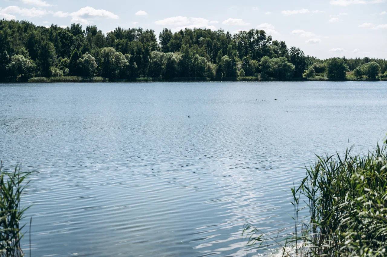 100 прудов и озёр будущее пруда в ваших руках В Московской области стартовало голосование за выбор водоёмов для расчистки в 2026 в рамках программы Губернатора 100 прудов и озёр В этом году в нём участвует пруд в деревне Богослово Чтобы он попал в программу нужно чтобы за него проголосовало как можно больше жителей Принять участие очень просто найдите пруд на странице голосования выбрав свой муниципалитет и интересующий водоём из списка нажмите кнопку проголосовать и авторизуйтесь через портал Госуслуг для того чтобы голос был засчитан При желании оставьте комментарий о состоянии водоёма или поделитесь своим мнением Голос можно отдать только за один водоём Голосование продлится до 10 декабря экологиящёлково