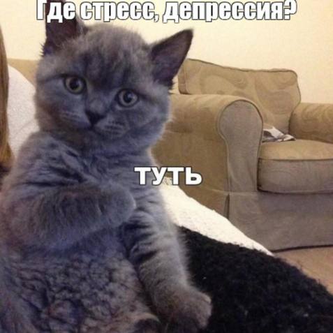 Учёные создали вакцину от тревоги и стресса препарат под названием РА 915 Одна доза обеспечивает спокойствие примерно на два месяца Сейчас его тестируют в виде капель и инъекций По данным разработчиков средство не вызывает зависимости и не имеет побочных эффектов