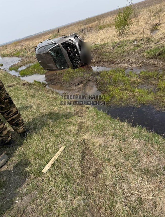 «Пыталась обогнать трактор»: в Михайловском районе автомобилистка пострадала в ДТП На 11 км автодороги Благовещенск – Гомелевка водитель, 2002 года рождения, управляя автомобилем Toyota Yaris, пыталась обогнать трактор. Она не справилась с управлением, съехала с проезжей части, автомобиль перевернулся. Девушке понадобилась помощь медиков. Фото: Реклама