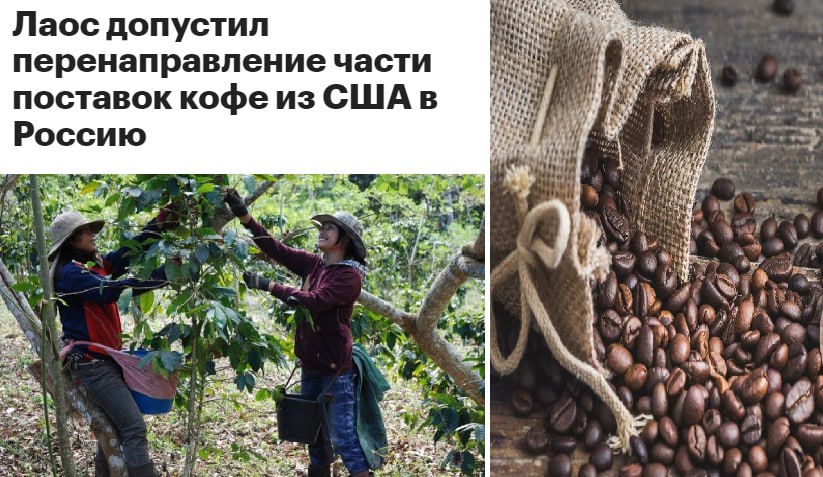 Сорта кофе робуста и арабика стали самыми подорожавшими товарами на мировых рынках в августе 2025 робуста 50 арабика 29 НО Премьер министр Лаоса Сонсай Сипхандон заявил что Лаос после повышения торговых пошлин США может перенаправить часть поставок кофе из США в Россию В конце июля The Wall Street Journal сообщила что бразильский кофе самый популярный в США может подорожать из за введения президентом Дональдом Трампом пошлин в 50 Бразильская арабика без рынка сбыта точно не останется ждём её в ЕАЭС Кроме того и Индонезия планирует увеличить экспорт кофе и чая в Россию заявил посол Тавареш Любителей кофе в России могут ждать новинки уже в ближайшем будущем К сведению gr shuyaprovinciya