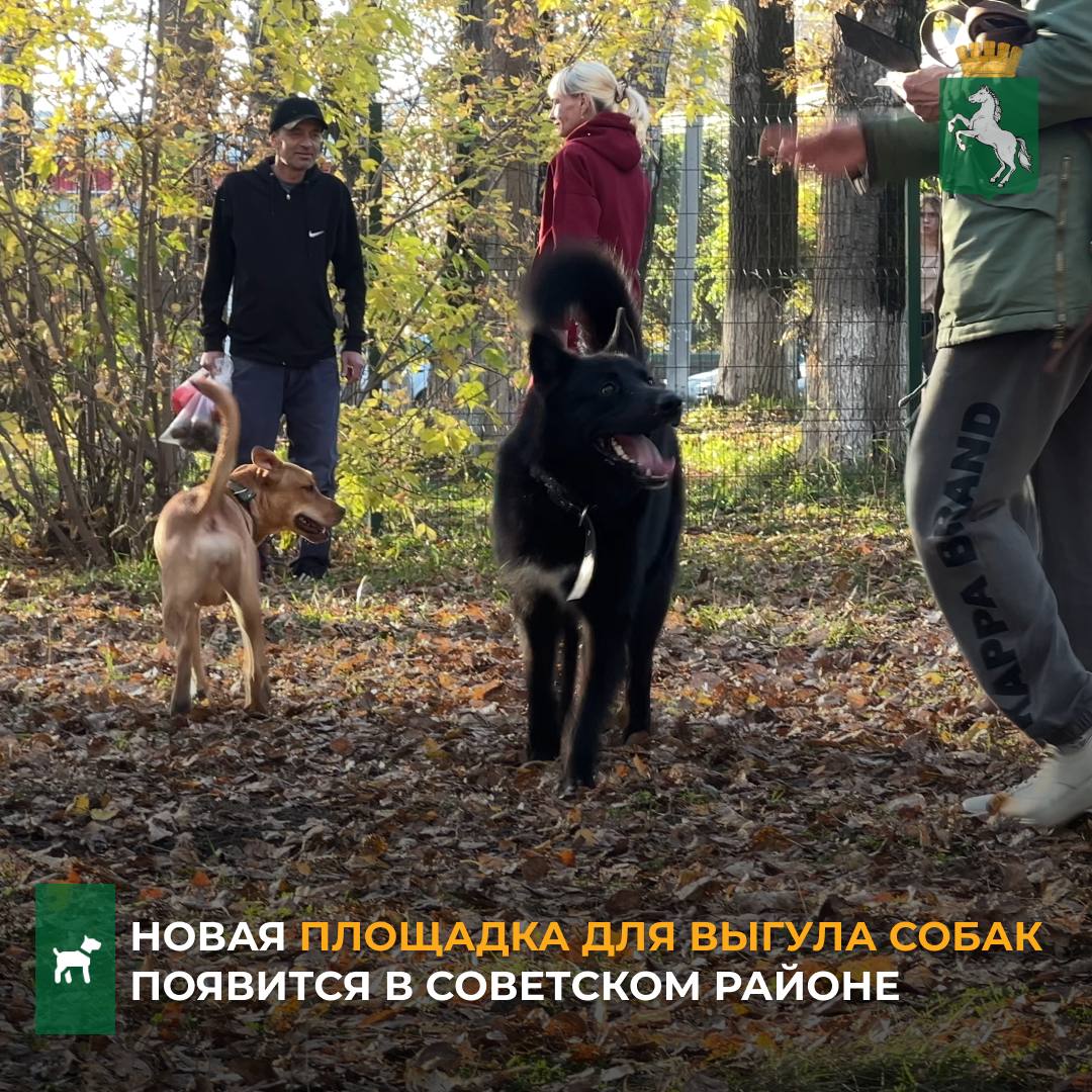 По информации администрации Советского района, инициативные жители планируют совместно с администрацией обустроить новую площадку для выгула собак в районе ул. Петропавловская, 26/3. Там появится ограждение и несколько фигур для занятий с питомцами. Сейчас специалисты занимаются подготовкой документов. - У нас есть активный ТОС, который хочет обустроить эту территорию. В планах у них реализация в 2025-2026 году, администрация поддерживает эту инициативу, помогает с документами, планированием. Место хорошее – рядом речка, большая зеленая территория, здесь должно быть комфортно питомцам и их хозяевам, - сказал и. о. главы администрации Советского района Дмитрий Лобыня. Добавим, сейчас в Томске действуют площадки для выгула в Михайловской роще, возле пр. Фрунзе, 137, на ул. Жуковского, 60, в конце ул. Сибирской возле здания №114/5 и рядом с ул. 79-й Гвардейской Дивизии, 21/3. #Советский_район