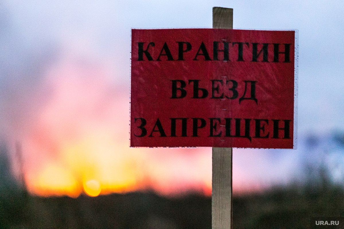 Махонин ввел карантин в деревне Чумна  Здесь выявлены несколько случаев бешенства среди животных. В деревне теперь запрещается проведение ярмарок, выставок и других мероприятий, связанных с перемещением и скоплением животных.