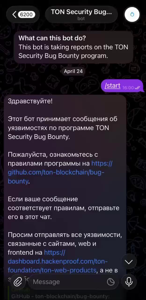 Подросток получил 4000 долларов за уязвимость в блокчейне TON
