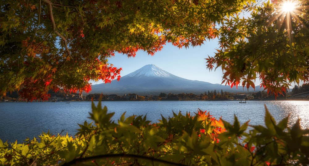 Турпоток из России в Японию в 2025 году вырос вдвое По итогам 2025 года Японию посетили почти 195 тыс россиян что на 96 3 больше чем годом ранее сообщила Японская национальная туристическая организация JNTO с Это самый высокий показатель за всю историю взаимного туризма превышающий не только доковидный 2019 год По темпам роста Россия заняла первое место среди 23 ключевых рынков Японии хотя и сильно уступает им по абсолютному количеству визитов Все подробности в материале RTN rata ru