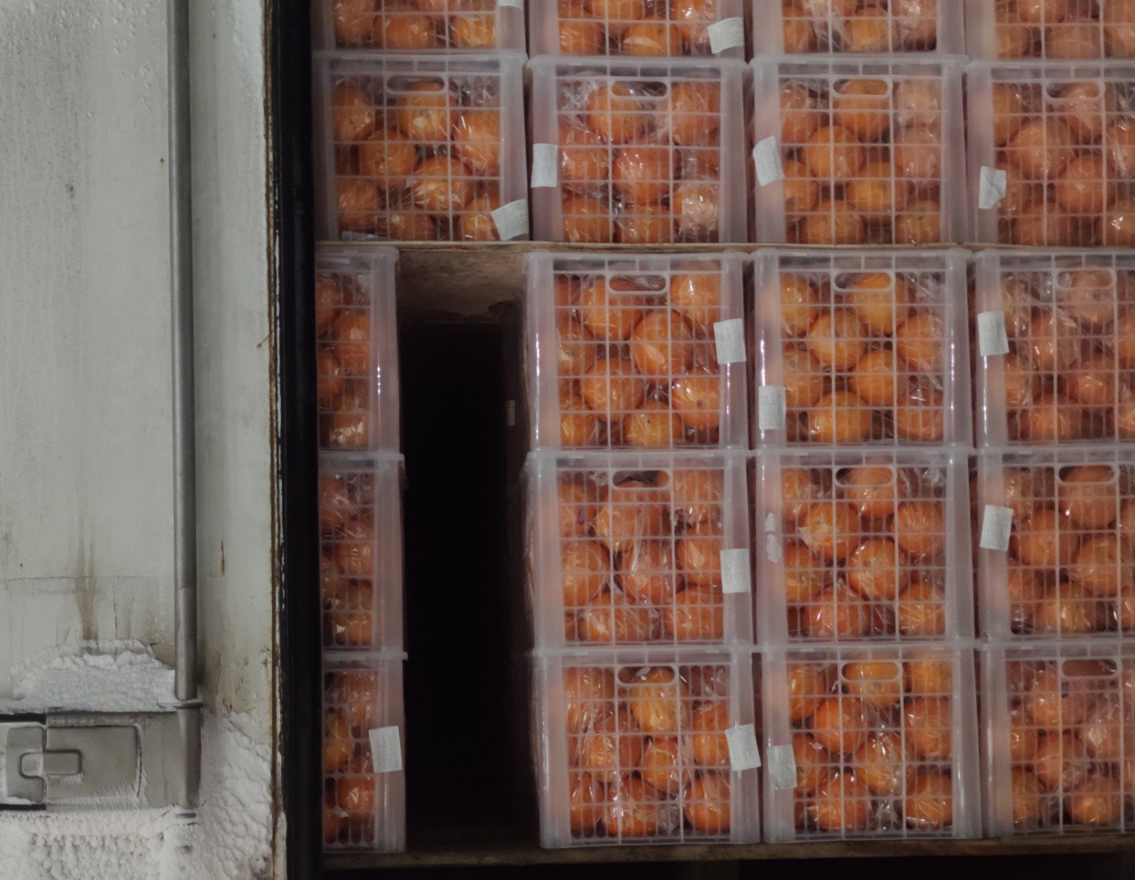 Тонны мандаринов и апельсинов не пустили в Челябинскую область Накануне машину с цитрусами китайского происхождения остановили в пункте пропуска Бугристое Автомобиль с 19 т мандаринов и апельсинов следовал из Казахстана Причиной запрета ввоза стало несоответствие данных в сопроводительных документах На маркировке было написано что продукция предназначена для Самарской области в документах был указан Екатеринбург Сегодня по аналогичной причине запретили ввоз еще 18 т апельсинов Водителей привлекли к административной ответственности Подписаться на канал ЕАН Челябинск