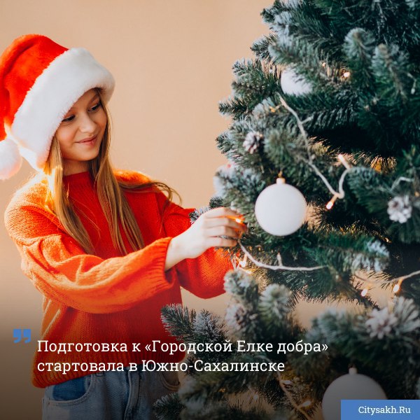 В областном центре в шестой раз пройдет новогодняя благотворительная акция Городская Елка добра призванная воплотить в жизнь заветные желания юных жителей города   citysakh ru news 123577