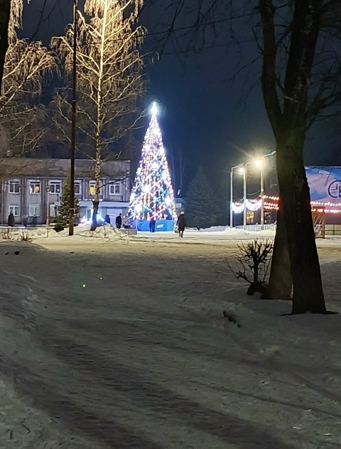 Обещанной новогодней елки могут не дождаться в Климовском Череповецкого округа Зимняя красавица порадовала жителей деревни в прошлом году По словам местных жителей ранее администрация обещала установить искусственную елку и в 2025 году Однако судя по последним данным денег на это в казне не запланировали сообщает группа Климовское Live 3 0 Те кто давал обещания в администрации муниципалитета уже не работают Нынешние руководители положительным решением жителей пока не порадовали Не осталось надежды и на установку горки для катания детей на площади у местного ДК