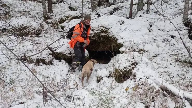 Пропавшая в Красноярском крае семья Усольцевых вероятно шла к горе Мальвинка Пропавшая в сентябре 2025 года в горной тайге Красноярского края семья туристов Усольцевых скорее всего направлялась к горе Мальвинка а не к Буратинке как предполагалось изначально Мы объективно понимаем во сколько Усольцевы выехали с базы отдыха Есть также информация что должны они были пойти на гору Буратинка Можно по времени прикинуть сколько там идти с учетом того что с ними маленький ребенок Это место в целом жители называют Буратинка но по факту там две скалы Буратинка и Мальвинка Мы предполагаем что скорее всего наши потерявшиеся ушли на скалу Мальвинка С учетом того что Ирина Усольцева говорила о том что она хотела бы увидеть там камень желаний который находится как раз по пути к горе Мальвинка сообщила Сырымбетова Фото Поисковый отряд ЛизаАлерт Красноярского края vk com la krsk Подписаться на sibnovosti ru предложить новость
