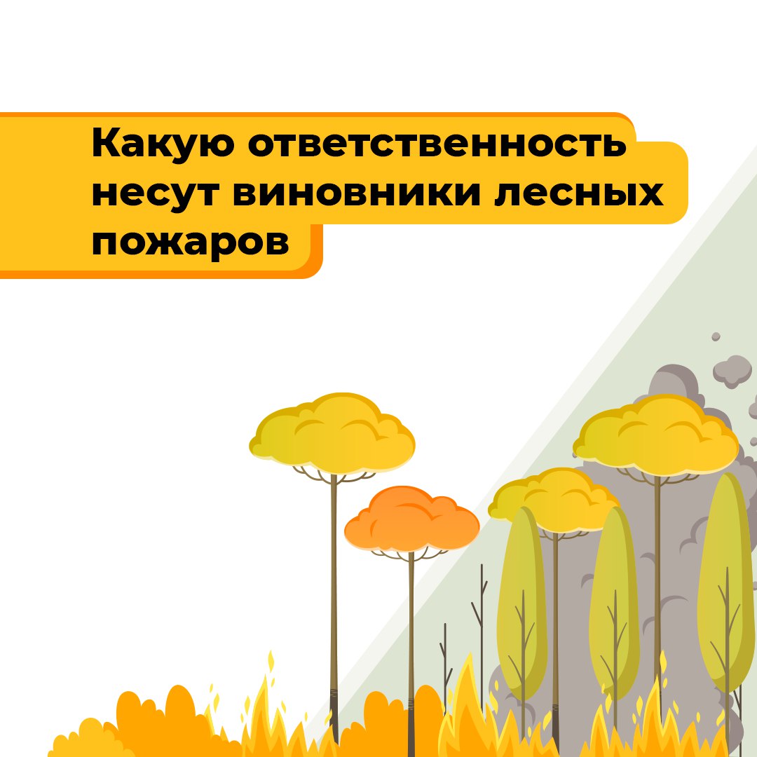 С 1 апреля по 1 ноября 2025 года на территории Ставрополья введен противопожарный режим Категорически запрещается разжигать костры в лесу в течение указанного периода. Обычно возгорания происходят там, где люди оставляют непотушенный огонь или выбрасывают окурки. Какие санкции ожидают нарушителей правил пожарной безопасности в лесу — рассмотрим в карточках.