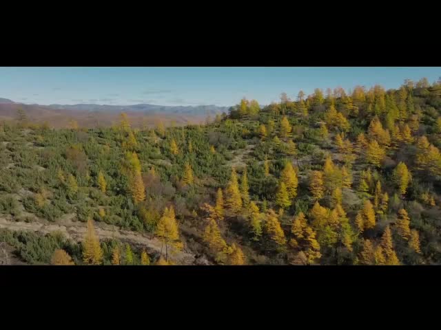 Премьера документального фильма 'Золотые люди' о золотодобыче на Первом канале