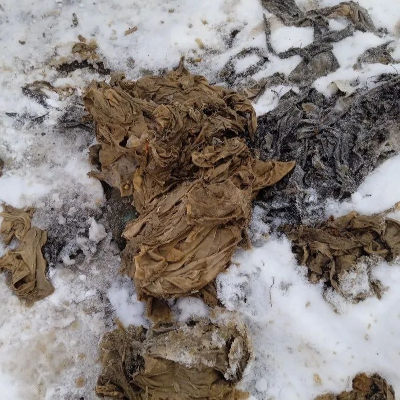 В канализационном колодце в Саратове обнаружили медвежонка Ежедневно саратовские коммунальщики устраняют более 30 засоров в канализации Чаще всего виноваты влажные салфетки и влажная туалетная бумага их нельзя смывать но многие продолжают это делать Недавно при прочистке одной из линий рабочие обнаружили необычную находку плюшевого медвежонка который оказался в канализационном колодце Откуда он там взялся детская шалость или случайность уже не узнать История мягкой игрушки послужила поводом напомнить что канализация не предназначена для мусора Мы в MAX Мы в TG Прислать новость