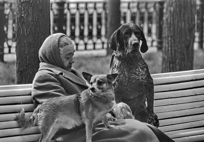 В Госдуме хотят СНИЗИТЬ пенсионный возраст — 55 лет для женщин и 60 для мужчин. Депутат Анатолий Никитин отметил, что продолжительность жизни снизилась, и поскольку индексация пенсий не покрывает инфляцию, нужно снизить пенсионный возраст. -Если согласны «Бесплатная Москва. Скидки »