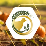 Аватар Телеграм канала: Минсельхоз73🌾