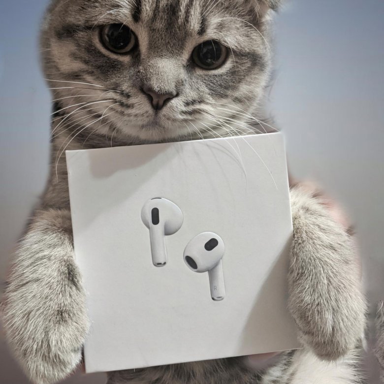 Если верить инсайдерам то Apple во всю работают над чипом H3 для AirPods Какие модели его получат неизвестно разве что он предназначен для высокого качества звука в наушниках вкладышах Т е таким образом чип может появится как в обновлении текущего поколения так и лишь в последующих Также инсайдеры уверяют что AirPods Pro 3 получит значительные аппаратные улучшения и будут разделены на две версии как и как AirPods 4 Technodeus Подписаться
