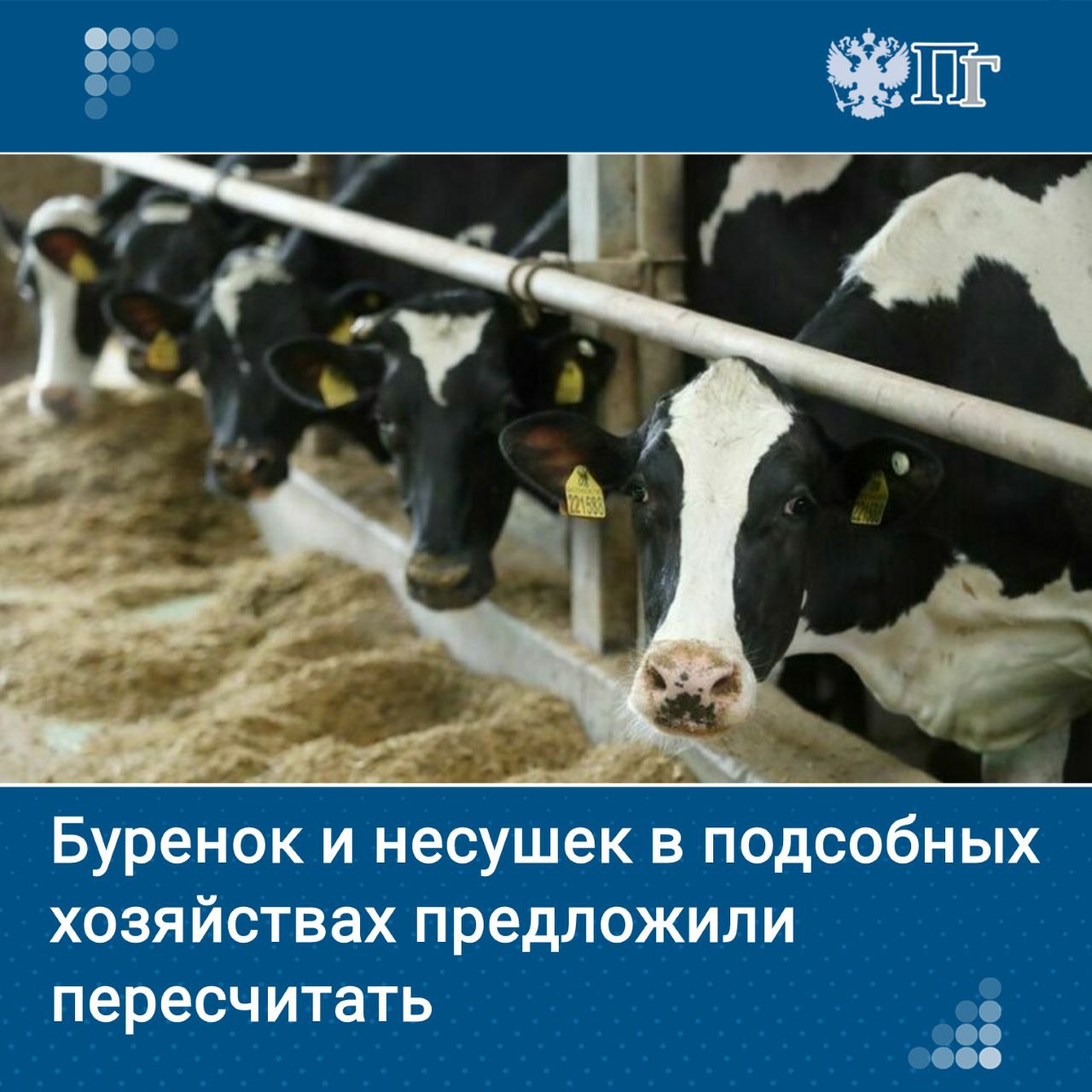 Поголовье сельскохозяйственных животных и птиц содержащихся на приусадебном участке в городах и селах предлагают регулировать Соответствующий законопроект находится на рассмотрении Госдумы Определять максимальное количество кур и коров доверят региональным властям Нововведение по мнению авторов документа депутатов красноярского Заксобрания выгодно всем жалоб соседей на шум и запах будет меньше как и вспышек опасных заболеваний Для чего предлагают ввести ограничения Парламентская газета узнала подробности Подписаться на Парламентскую газету