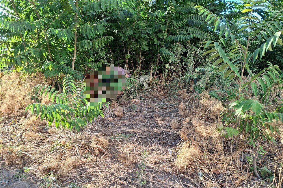 В Мариуполе задержали мужчину, ударившего 60 раз ножом мать Между родными вспыхнула ссора — мать обвиняла сына в частом злоупотреблении спиртными напитками, после чего конфликт перешел в поножовщину. От полученных повреждений женщина скончалась на месте. Подозреваемый, чтобы скрыть следы преступления, перетащил тело в кусты недалеко от дома. Фото: Официальный ТГ-канал Следственного управления СК России по ДНР Читать полностью Подписаться