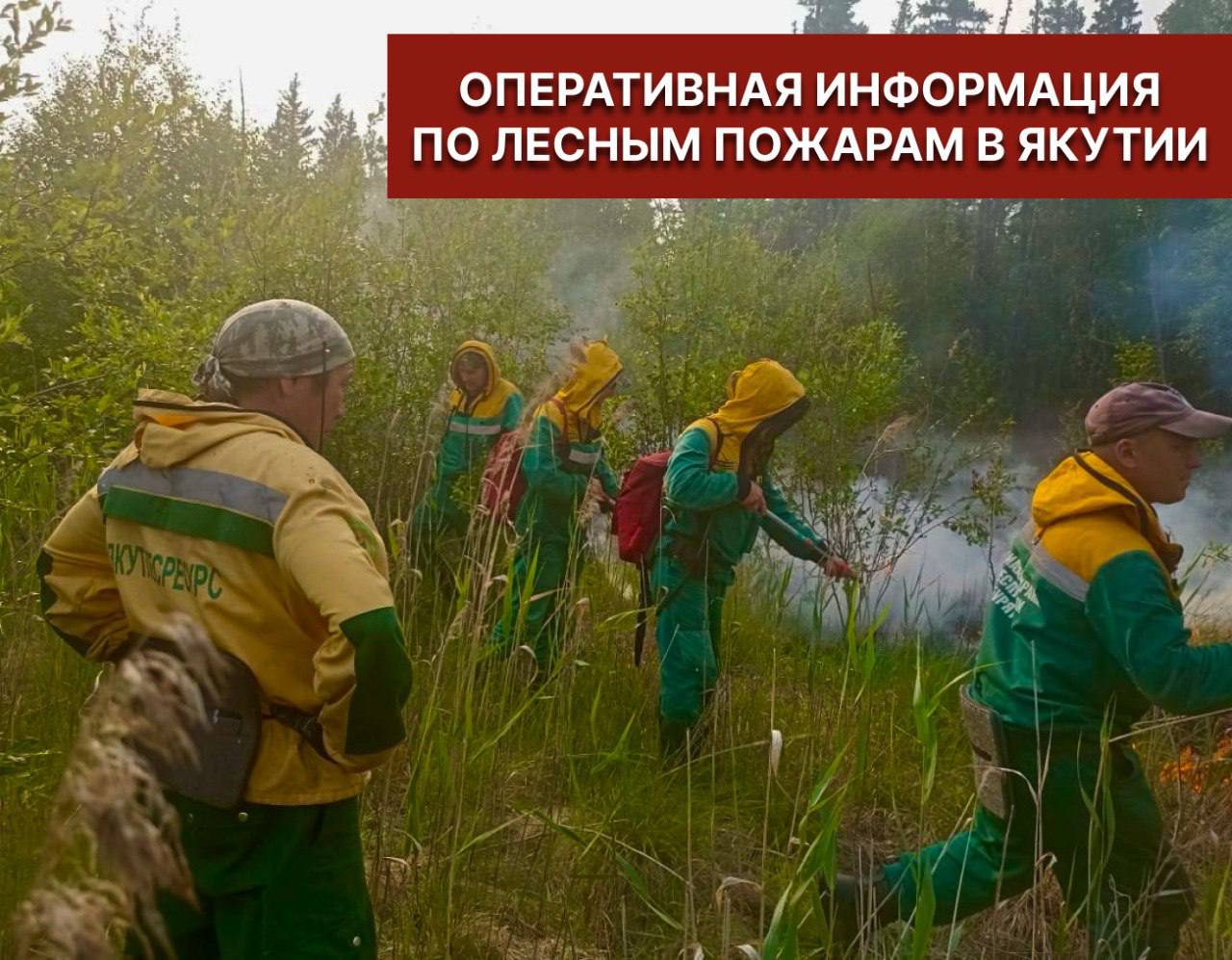 В Якутии ликвидировали один лесной пожар за сутки  За прошедшие сутки в республике новых очагов не зафиксировано. Ликвидирован один пожар на территории Момского района, огонь прошёл 863 га.    С начала пожароопасного сезона в Якутии потушено 310 лесных пожаров на площади почти 160 тыс. га, установлено 73 виновника возгораний.  Фото: Минэкологии Якутии   YakutiaMedia   Новости Якутии