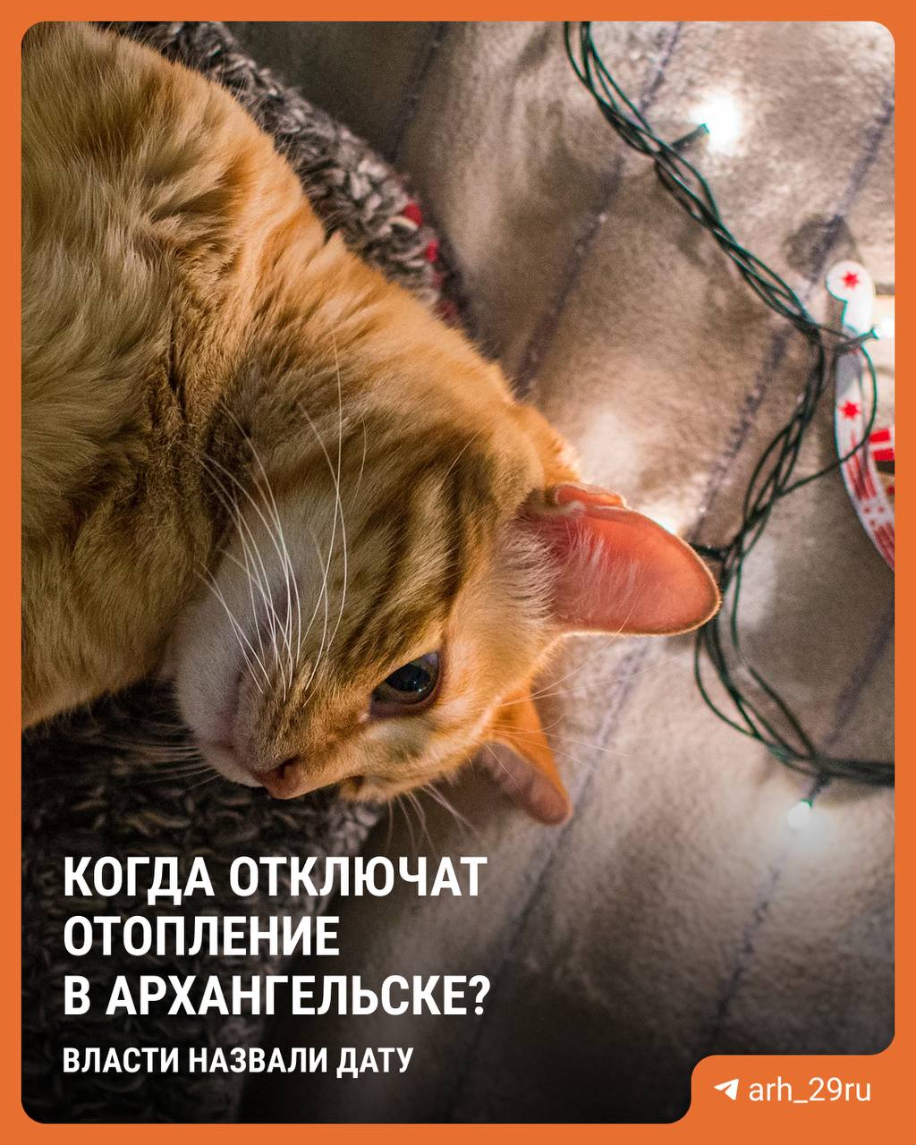 Отопление в Архангельске планируют отключить 25 мая Окончательно решение примут, когда будет известен точный прогноз погоды. Об этом сообщил Дмитрий Морев. А у вас дома жарко? — да, пора отключить отопление! — нет, ещё рано Подписаться
