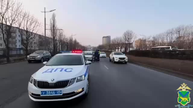 Госавтоинспекция Владивостока помогла автомобилисту в час пик