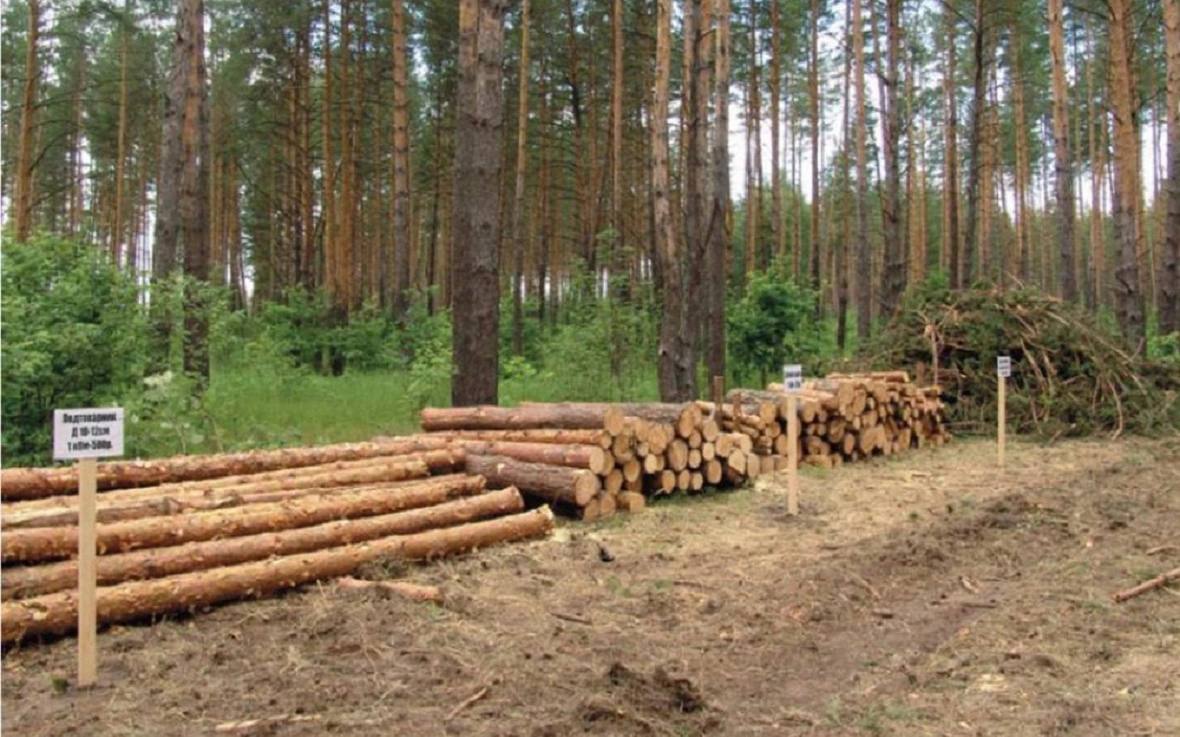 Лесозаготовка в Башкирии сократилась на 10 Объем лесозаготовки в Башкирии по сравнению со средним показателем предыдущих лет сократился примерно на 10 сообщил министр лесного хозяйства республики Марат Шарафутдинов На заседании комитета Госсобрания Курултая РБ по аграрным вопросам экологии и природопользованию он представил доклад о сохранении лесов республики Ситуация такая что в общем по стране идет спад заготовки древесины Насколько я помню по итогам первого полугодия спад в России составил 15 У нас по итогам девяти месяцев мы видим минус 1 5 к прошлому году Но прошлый год тоже не принципиальный потому что нас все заливало мы в лес заехать не могли А если брать предыдущие годы в среднем за пять лет мы имеем где то минус 10 к лесозаготовке сказал Шарафутдинов Расчетная лесосека в регионе на 2025 год составляет 10 4 млн кубометров Это объем древесины который можно вырубить в промышленных целях без ущерба для леса сообщил глава ведомства Из данного объема лишь 10 приходится на ценный лес хвойные лиственницы пихты сосны Эта часть расчетной лесосеки вырубается на 80 Остальные деревья осины березы и другие лиственные то есть менее ценные породы вырубаются не так активно РБК УФА