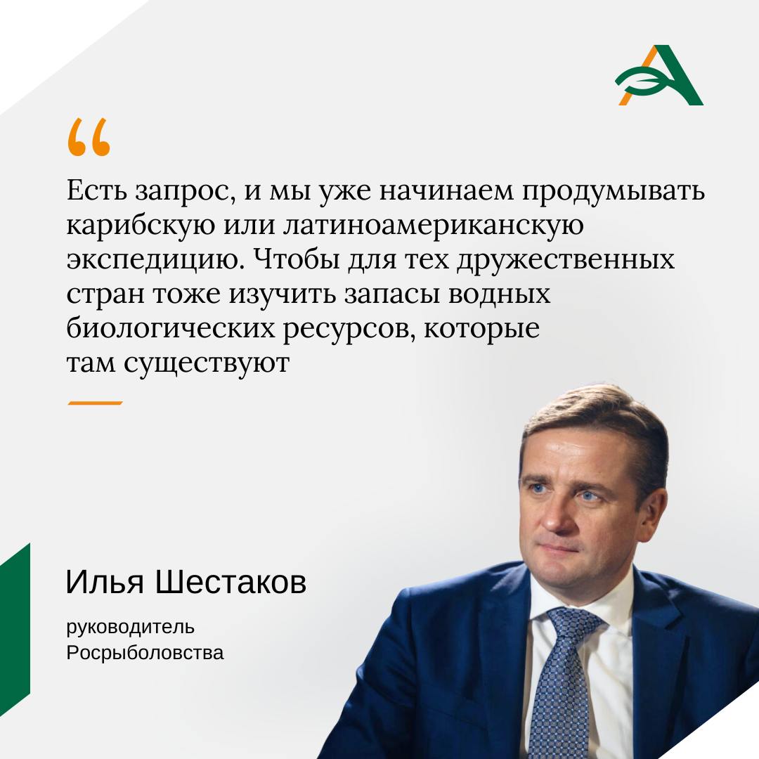 Росрыболовство продумывает новую международную экспедицию Большая африканская экспедиция завершается и ее опыт планируется применить в проведении новых исследований в южноамериканских водах сообщил руководитель Росрыболовства Илья Шестаков в ходе Международного рыбопромышленного форума Масштабные научно исследовательские работы у берегов Африки стартовали в августе 2024 года Целью экспедиции стало комплексное изучение запасов рыбы и других водных биоресурсов в акваториях 18 стран Западной и Восточной Африки и укрепление международных отношений между Россией и Африкой Она завершится в 2026 году Все данные которые мы даем по состоянию запасов будут переданы африканским государствам Мы надеемся на то что сможем и российских экономических операторов привлечь для добычи этих водных биоресурсов А так как вся продукция которая добывается там идет на африканские рынки это тоже наш существенный вклад в продовольственную безопасность подчеркнул Илья Шестаков agroexpert Наши каналы