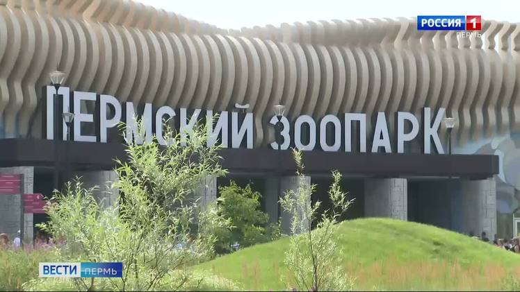 В День знаний вход для первоклассников в Пермский зоопарк будет бесплатным vesti perm ru pages be5a200980b3497daeea79b5b9125891 Пермский зоопарк в понедельник 1 сентября несмотря на то что по графику это санитарный день будет открыт с 12 00 до 21 00 Более того в этот день для первоклашек вход бесплатный Пустят всех ребят 2017 2018 и 2019 годов рождения Необходимо свидетельство о рождении Для гостей готовят экскурсии мастер классы творческие выступления а в 15 00 покажут спектакль пермского ТЮЗа Сказки смешанного леса