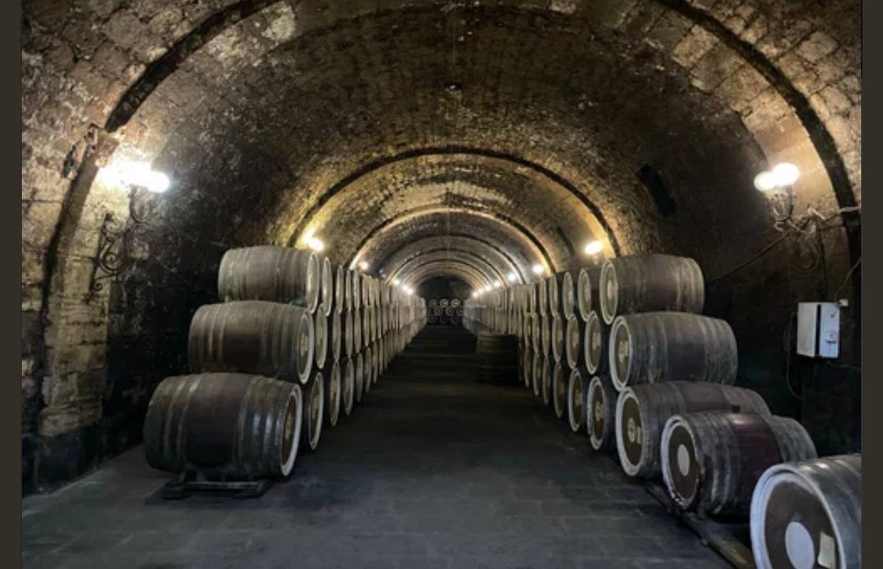 Туристическую локацию создадут на базе Воронцовских подвалов в Дербентском районе Дагестана Силами ООО Дербент вино ведется работа по организации туристической локации на объекте Воронцовские подвалы которые являются достопримечательностями с Геджух Дербентского района Они представляют собой винные подвалы построенные уникальным способом в 60 х годах 19 века по указанию графа Воронцова Дашкевича Как сообщил в ходе интервью агентству РИА Новости Председатель Правительства Дагестана Абдулмуслим Абдулмуслимов данный объект по инициативе республиканского Комитета по виноградарству включен в единый государственный реестр объектов культурного наследия Российской Федерации   Подпишись на ДП в МАХ