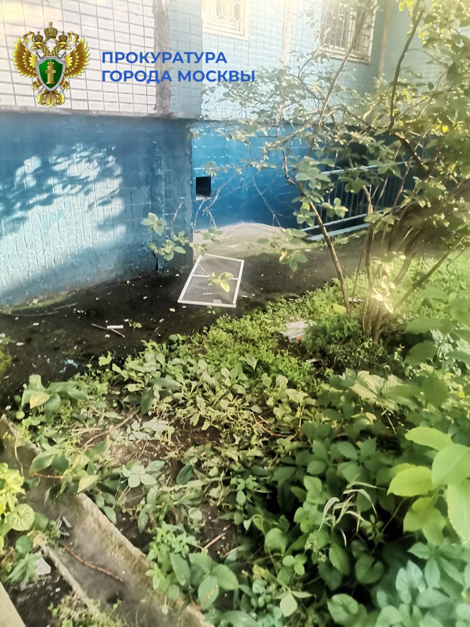 Девочка 2019 года рождения выпала из окна на девятом этаже дома на Ореховом бульваре. Она осталась жива. Как сообщили в прокуратуре, ребенок остался без присмотра взрослых, смог залезть на подоконник и, оперевшись на москитную сетку, выпал из окна. «Москва»