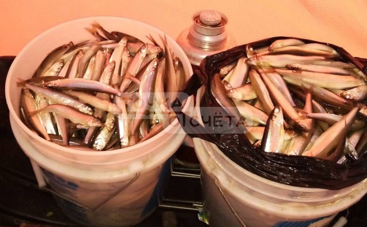 Сотрудники уголовного розыска задержали сахалинца с 450 корюшками Житель Поронайского района попал под уголовную статью из-за нелегальной рыбалки. Мужчина сетью выловил "хвосты" в Таранае, но скрыть крупный улов от правоохранителей у него не получилось. В областном УМВД сообщили, что сахалинец 1985 года рождения приехал на авто к реке и поставил сеть. При этом лицензии на добычу у него не было. "Погрузив добычу в машину, гражданин направился в сторону дома, где его задержали сотрудниками уголовного розыска. Размер ущерба, причинённого ВБР, составил 24 750 рублей", - отметили в ведомстве. В действиях сахалинца усматриваются признаки преступления по п. "в" ч. 1 ст. 256 УК РФ. С браконьера взяли обязательство о явке.