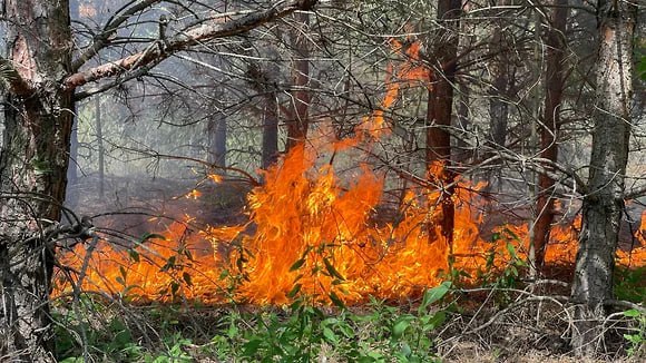 В Кантемировском районе Воронежской области ввели режим ЧС из-за пожаров На заседании комиссии по предупреждению и ликвидации чрезвычайных ситуаций и обеспечению пожарной безопасности Кантемировского района Воронежской области было принято решение о введении в муниципалитете режима ЧС из-за пожаров. Ограничения начали действовать с 18:00 12 июля. Об этом сообщили в местной администрации Фото: Олег Харсеев/Коммерсантъ Подписывайтесь на «Ъ-Черноземье»