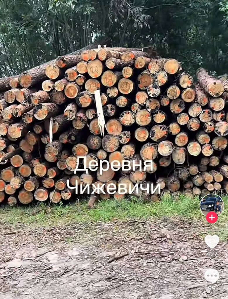 Вилейчане развели панику в TikTok из-за лесовозов возле Чижевичей    Местные возмущены систематической вырубкой леса и разбитыми дорогами.    Как пояснили в лесхозе, все в рамках закона. И с дорогой тоже разберутся  #Вилейка    Подпишись — Минская правда MLYN.by